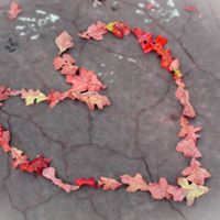 Mary Milam Photo 23
