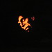 Dawn Stephens Photo 19