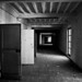 Michele Greco Photo 18