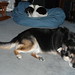 Missy Potter Photo 20