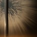 David Grams Photo 13