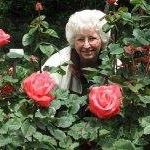 Mary Shotwell Photo 21