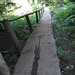 Annette Bridges Photo 21