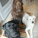 Spencer Miles Photo 12