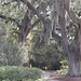 Sharon Beckham Photo 14