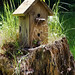 Cynthia Stump Photo 11