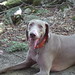 Bruce Skinner Photo 20