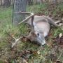 Bill Gregory Photo 12