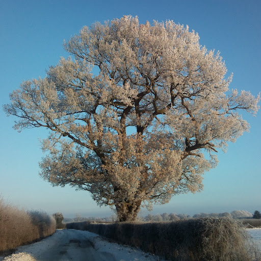 Joanne Matthews Photo 24