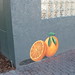 Marsha Goins Photo 6