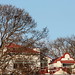 Arthur Sankey Photo 4
