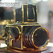 Carl Gold Photo 9