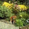 Nancy Lee Photo 26