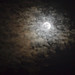 Debra Moon Photo 9