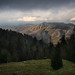Forrest Ross Photo 19