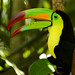 Bill Bird Photo 32