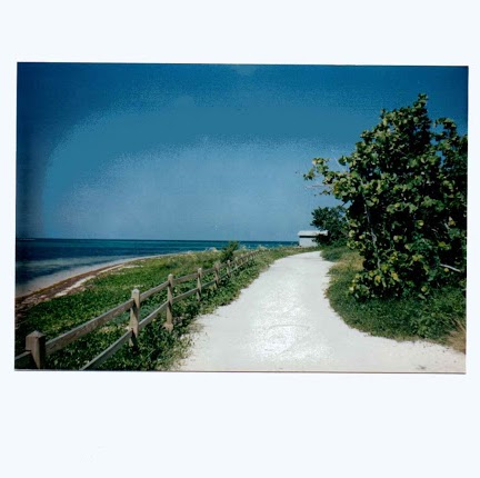 Ernest Mixco Photo 4