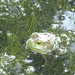 Connie Davis Photo 32