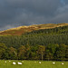 Glen Martin Photo 21