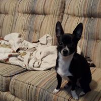 Joyce Yates Photo 16