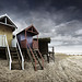 Sandy Moody Photo 11