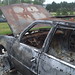 Nancy Weaver Photo 17