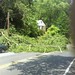 Dale Block Photo 17