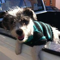 Juanito Campos Photo 4