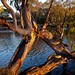 Jan Barker Photo 6