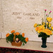 Judy Worthington Photo 9