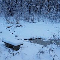 Cynthia Lantz Photo 15
