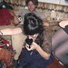 Allison Allen Photo 20