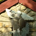 Michael Boese Photo 30