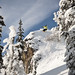 Aaron Robinson Photo 6