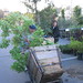 Dennis Lien Photo 8