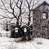 Barbara Ewing Photo 18