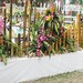 Hoa Ho Photo 20