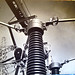 Shirley Foster Photo 10