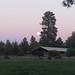 Debra Hopkins Photo 30