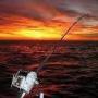 Robert Devault Photo 20