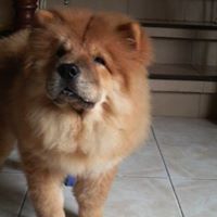 Edward Villalobos Photo 4