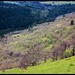 Weldon Good Photo 7