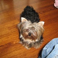 Dianne Roy Photo 6