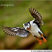 Andrew Wicks Photo 27