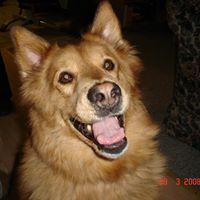 Lewis Watson Photo 8