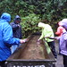 Terri Gold Photo 11