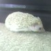 Larry Scurry Photo 7