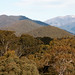 Alexandra Downs Photo 9