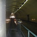 Robert Levy Photo 39