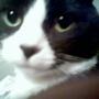 Andrea Halverson Photo 7